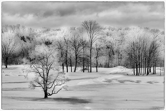 Winter's Finest Crystal-Honorable Mention-PSA Mid Atlantic- Honorable Mention-NJ Arts Center International
