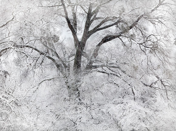 Billowing Snow