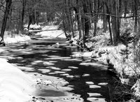 Winter's Brook (1 of 1)