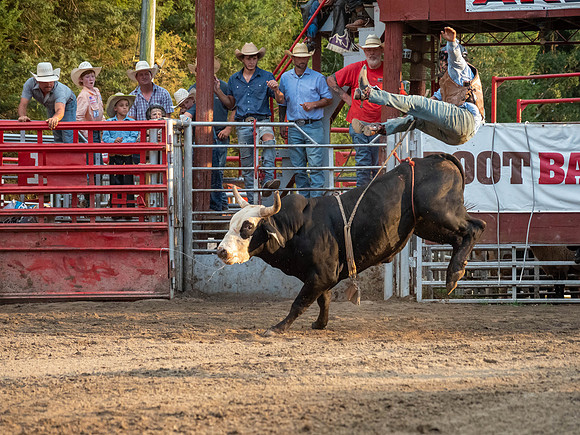 Rodeo 2019-13
