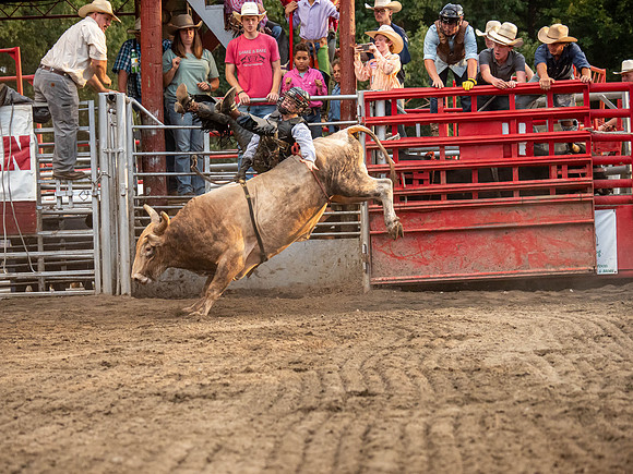 Rodeo 2019-12