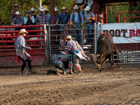 Rodeo 2019-11