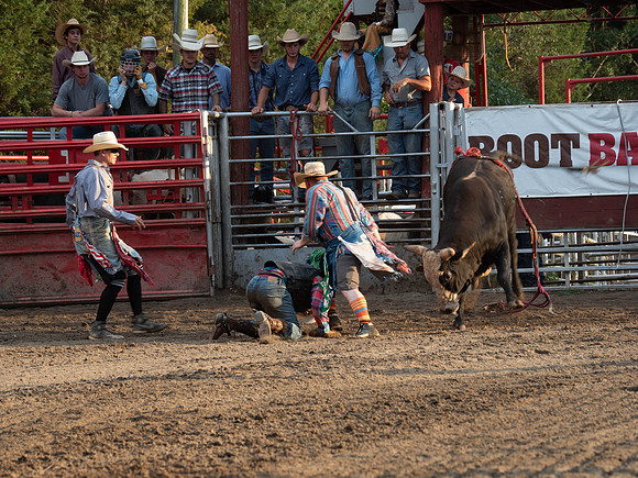 Rodeo 2019-11