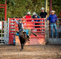 Rodeo 2019-5