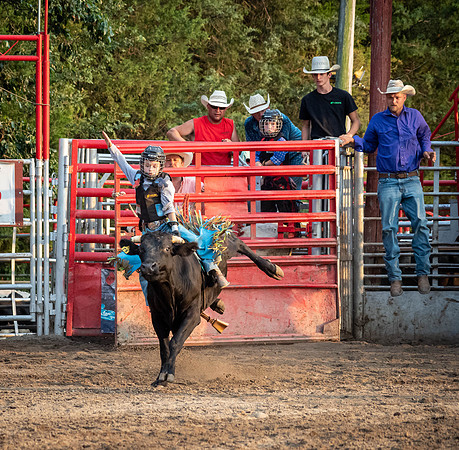 Rodeo 2019-5
