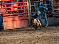 Rodeo 2019-2