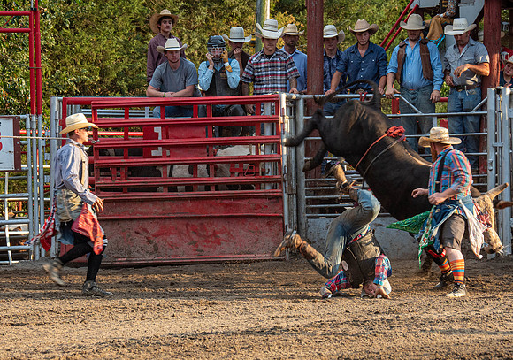 Rodeo 2019-10