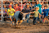 Rodeo 2019-6