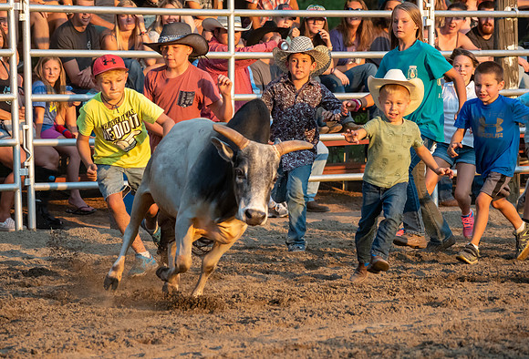 Rodeo 2019-6