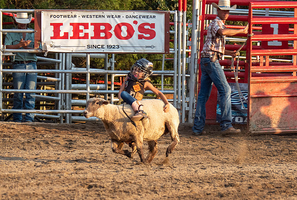 Rodeo 2019-4