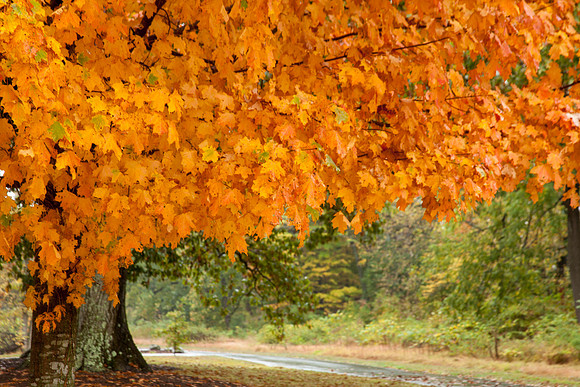 For Everything There is a Season