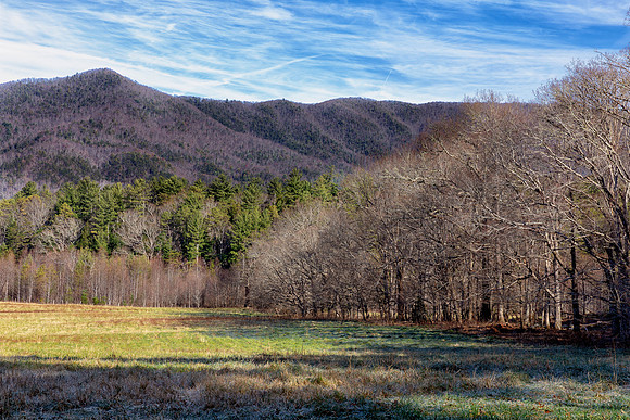 Cade's Cove-3