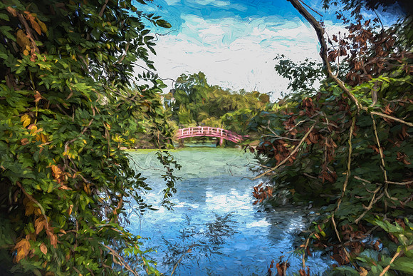 Duke gardens II