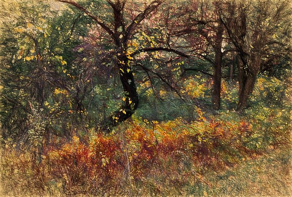 Curtsy to Fall