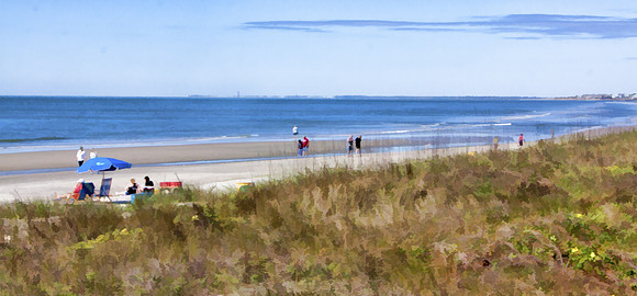 Isle of Palms 1