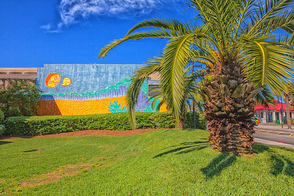 Isle of Palms-8