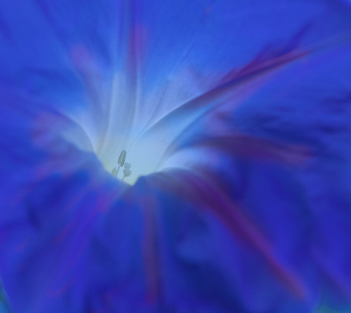 Inner Light